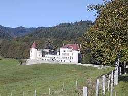 le-chateau-de-pramenoux-a-saint-nizier